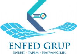 ENFED Grup Enerji Tarım Hayvancılık